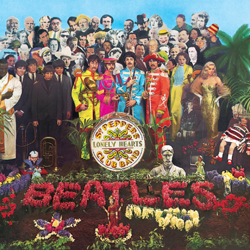 Sgt Pepper from LSD Records, Salisbury